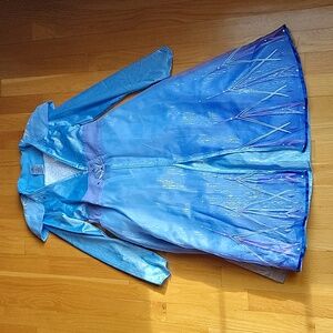 Authentic Disney Elsa Frozen 2 Costume